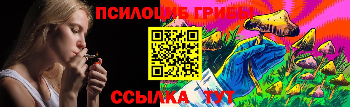 Галлюциногенные грибы GOLDEN TEACHER Михайловка